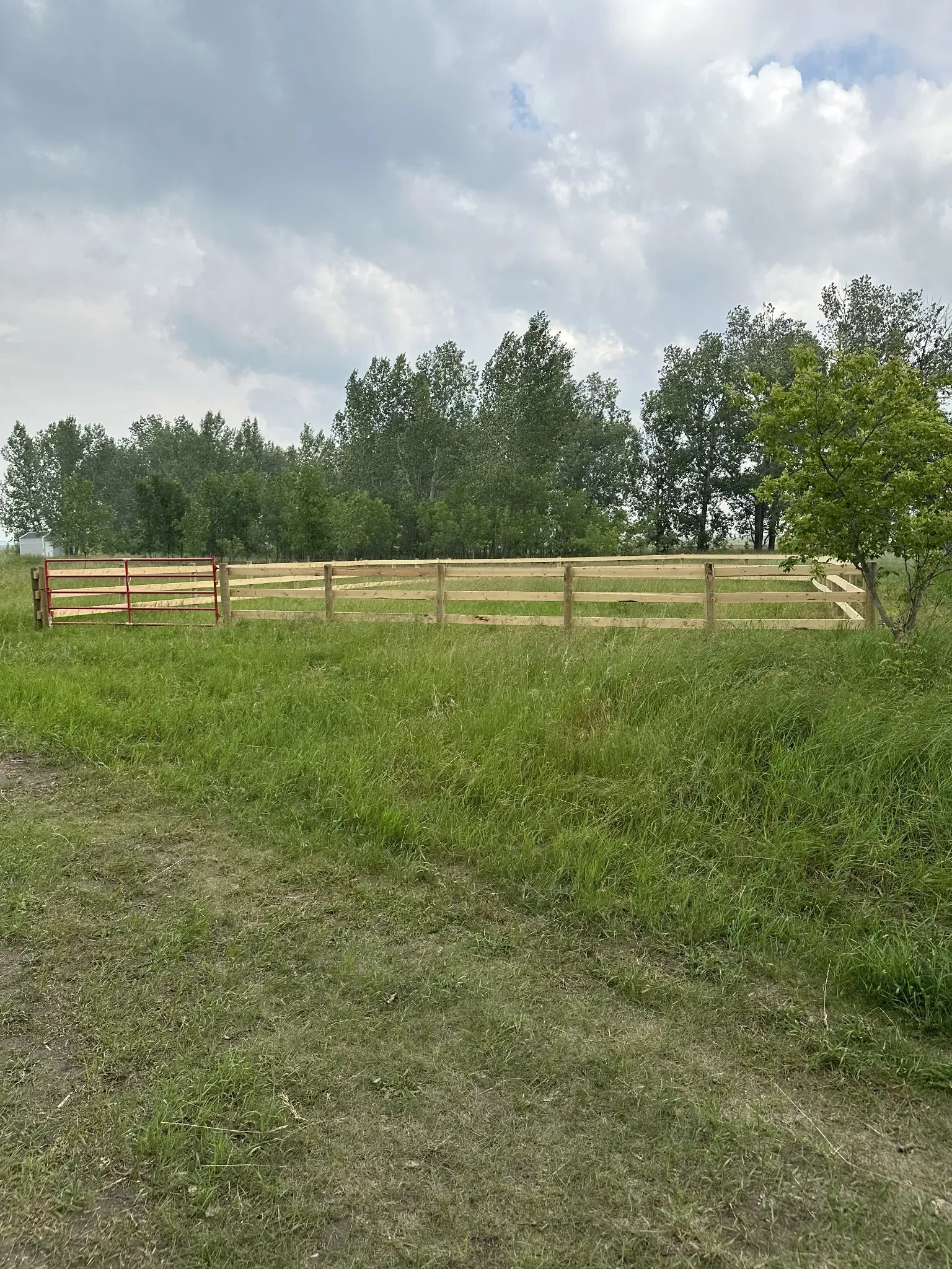 Wooden rail fence corral with red gate on a green Saskatchewan acreage property