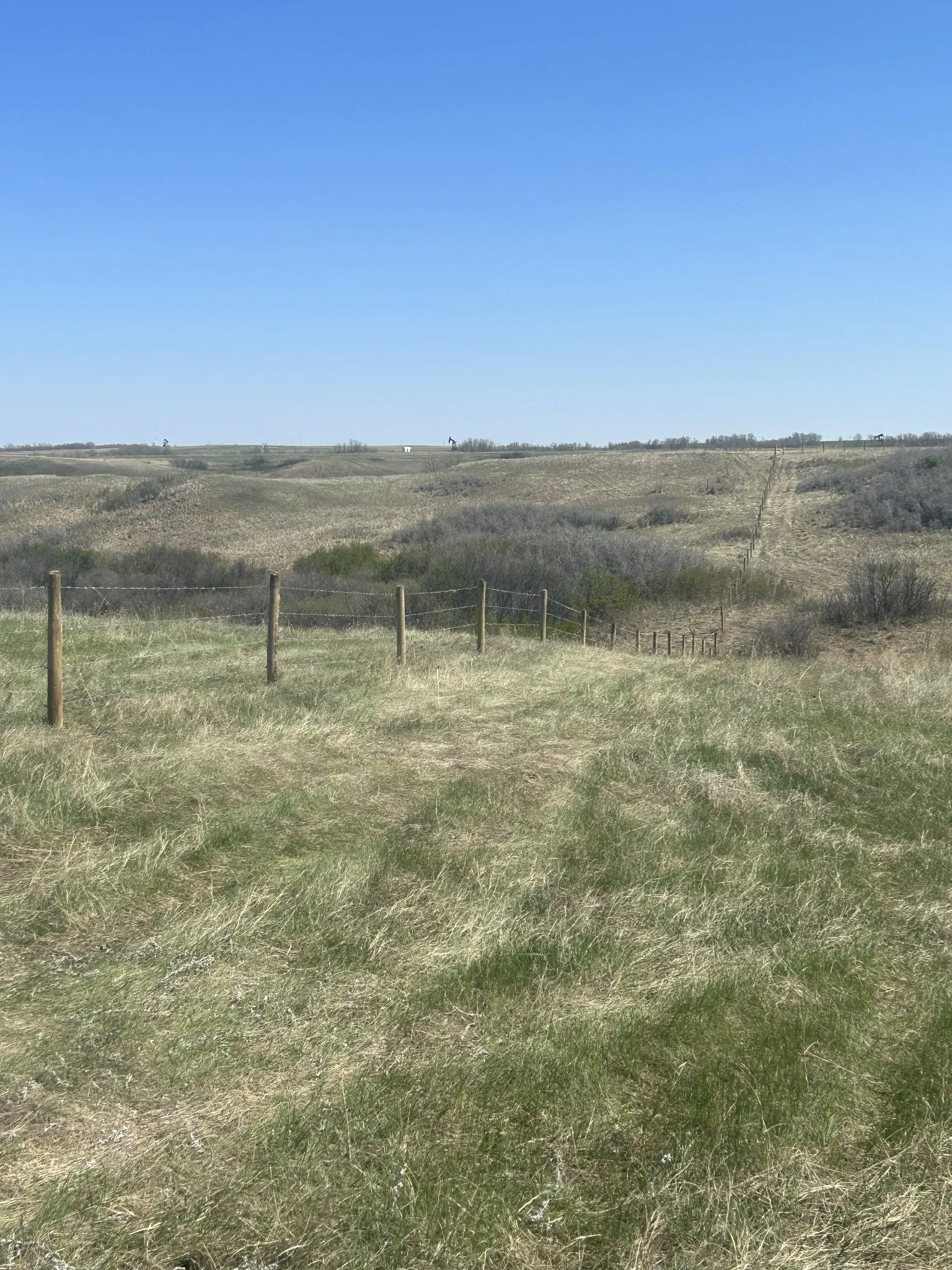 Barbed wire fence line stretching across rolling Saskatchewan prairie